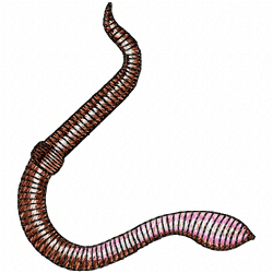 Fish Hook Embroidery Design 3
